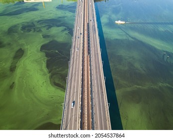 South Bridge In Kiev. Algae Bloom In The Water Of The Dnieper River. Aerial Drone View.