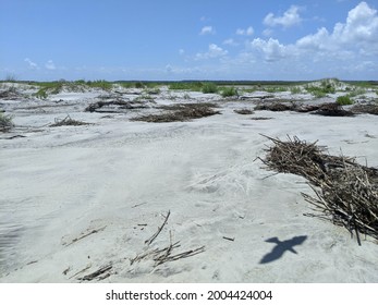 South Carolina Island Beaches; Bird Flying Overhead Leaving Shadow Imprint On White Sandy Floor