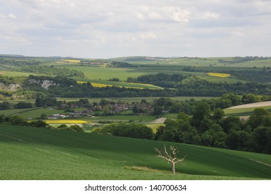 The South Downs At Bury Hill, West Sussex.