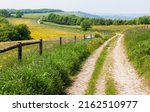 South Downs Way, a long distance footpath and bridleway along the South Downs hills in Sussex, Southern England, UK