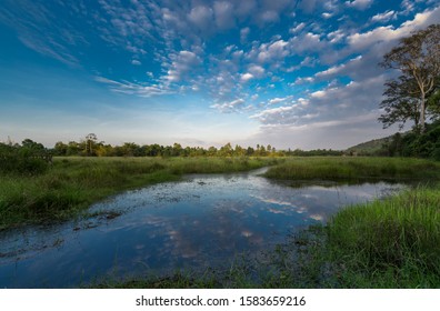 South East Asian Countryside With A Blue Sky And The Clouds Reflecting In The Water Sourounded By Greenery 