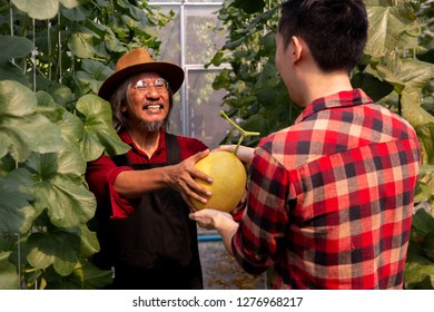 South East Asian Happy Smiling Senior Middle Aged Farmer Giving And Successfully Sold The Deal Of His Melon Fruits To Buyer In Outdoors Garden Field