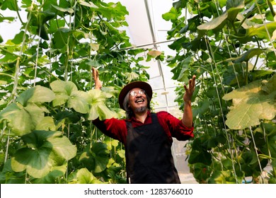 South East Asian Male Farmer Putting Hands Up With Extreme Happy Emotion Inside Melon Farming Land Field