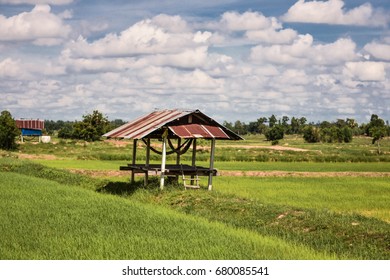 South East Asian Rice Field Thailand Laos Laos Cambodia Vietnam Indonesia Farmer Rice Farmer For Temporary Residence
