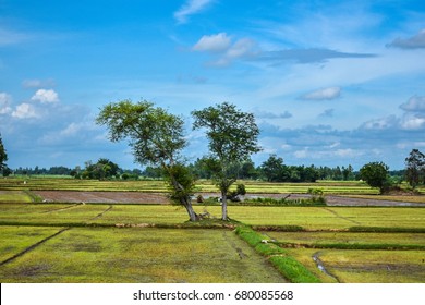 South East Asian Rice Field Thailand Laos Laos Cambodia Vietnam Indonesia Farmer Rice Farmer For Temporary Residence
