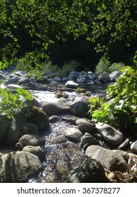 South Fork Of The Feather River California