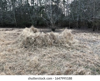 South Georgia Homemade Duck Hunting Blind