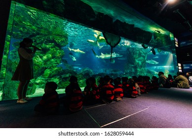 South Korea, Seoul - March, 2019 Coex Aquarium Children.