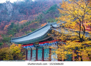 South Korea Temple Autumn Morning Yellow Stock Photo 1521068630 ...