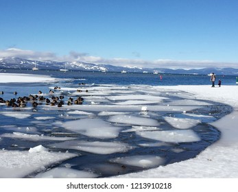 South Lake Tahoe In . Winter