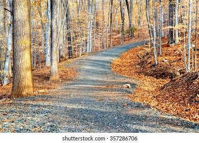 South Mountain Reservation In New Jersey, USA