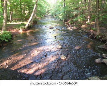 South Mountain Reservation For Outdoor People 