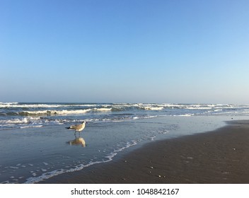 South Padre Island Sea.