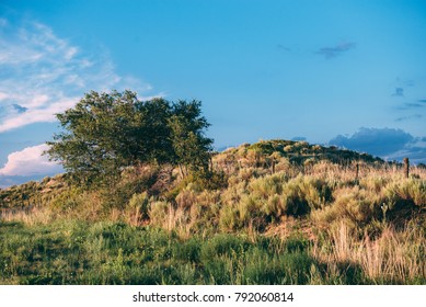 South Plaines - Texas Landscape