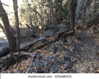 South Rim Loop Trail At Big Bend National Park