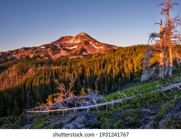 South Sister At Sunrise. Three Sisters Wilderness, Oregon