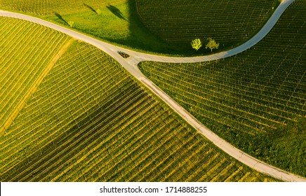 South styria vineyards aerial panorama landscape, near Gamlitz, Austria, Eckberg, Europe. Grape hills view from wine road in spring. Tourist destination, travel spot. - Powered by Shutterstock