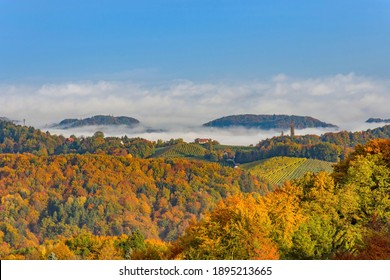 Südsteirische Weinberge, bekannt als österreichische Toskana, eine bezaubernde Region an der Grenze zwischen Österreich und Slowenien mit sanften Hügeln, malerischen Dörfern und Weinkellereien. Selektiver Fokus