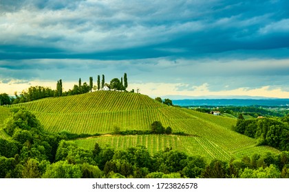 South styria vineyards landscape, near Gamlitz, Austria, Europe. Grape hills view from wine road in spring.