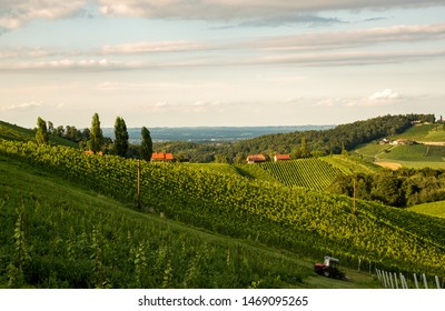 South styria vineyards landscape, Sulztal near Gamlitz, Austria. Grape hills view from wine street ( Sulztal Weinstrasse ) in summer. Tourist destination, travel spot.