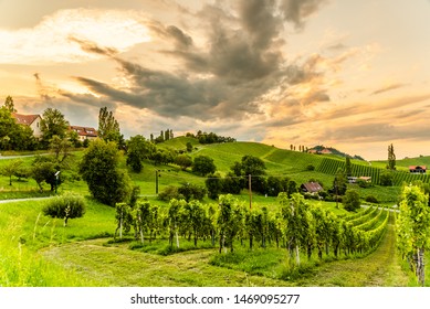 South styria vineyards landscape, Sulztal near Gamlitz, Austria. Grape hills view from wine street ( Sulztal Weinstrasse ) in summer. Tourist destination, travel spot.