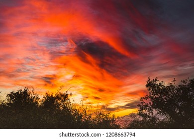 South Texas Sunset