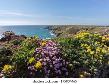 South West Coast Path Near Bedruthan Steps Cornwall Uk