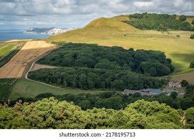 South West Coast Path, View Of Swyre Head Peak, Dorset