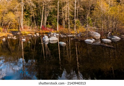 South Yuba River In Fall