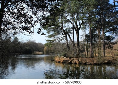 Southampton Common 