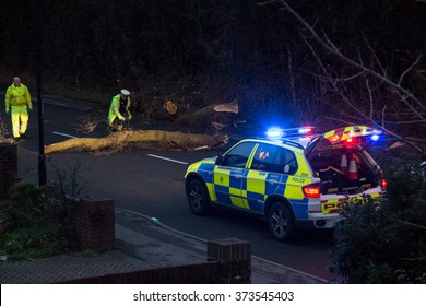 SOUTHAMPTON, ENGLAND - February 8 2015: Following Storm Imogen, Emergency Services Help To Remove A Fallen Tree From The Road,  On The Edge Of The Common, Southampton, UK.