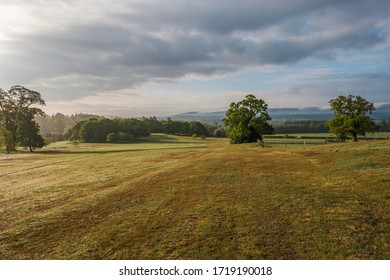 Southdown National Park, Midhurst, West Sussex, England, United Kingdom, 30th Of April 2020. Walking Around Cowdray Golf Coarse.