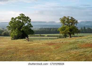 Southdown National Park, Midhurst, West Sussex, England, United Kingdom, 30th Of April 2020. Walking Around Cowdray Golf Coarse.