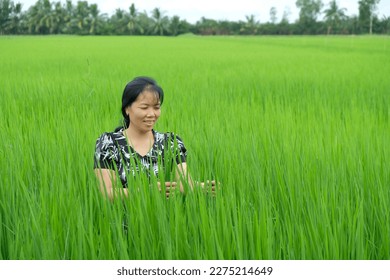 Southeast Asian female farmer standing in the middle of green rice fields - Shutterstock ID 2275214649