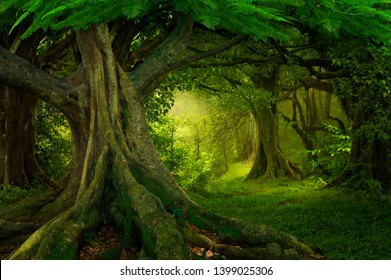 Deep Tropical Jungles Southeast Asia August Stock Photo 549416533 ...