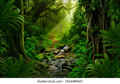 Southeast Asian rainforest with deep jungle - Shutterstock ID 1414489667