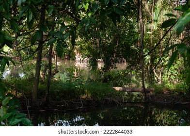 Southeast Region Việt Nam Landscape