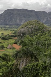Southeast-to-northwest View Of The Viñales Valley From The Outlook On The 241 Road Overlooking The Hillfaces On The Karstic Geomorphological Formations Called Mogotes. Pinar Del Rio Province-Cuba.