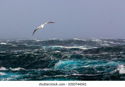 The Southern Arctic Circle. Atlantic Ocean. Storm. Large Waves With Sharp Gusts Of Wind.