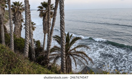 Southern California coastal beaches, sunsets, surfers, tide pools, palms trees and abstracts at Swamis Reef Surf Park and Moonlight Beach in Encinitas California. - Powered by Shutterstock