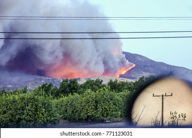 Southern California Fires 2017, Wildfires That Have Burned. Ventura Thomas Fire Behind Oranges Trees Farm, South California Wildfire 2017. Emergency, Climate Change, Natural Disaster. Huge Smoke Trail