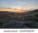 southern California landscape winter sunset