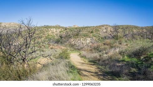 Southern California Natural Space Hiking Trail Through Santa Clarita Wilderness Area.