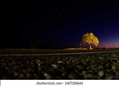 Southern Cross Stars Over Australian Outback. Desert, Night Sky, Empty Road And A Tree.