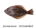 Southern Flounder (Paralichthys lethostigma). Left-eyed flounder, up side. Isolated on white background 