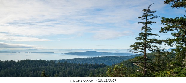 Southern Gulf Islands Woodlands, Islands And Ocean Panorama