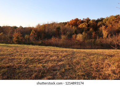 Southern Illinois Beauty