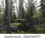 Southern Konnevesi National Park, Rautalampi, Finland, September 21 2024. Three mountain hike and visit to the viewpoints of Loukkuvuori and Kalajanvuori. Beautiful landscapes and a challenging trail.