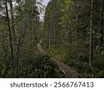 Southern Konnevesi National Park, Rautalampi, Finland, September 21 2024. Three mountain hike and visit to the viewpoints of Loukkuvuori and Kalajanvuori. Beautiful landscapes and a challenging trail.