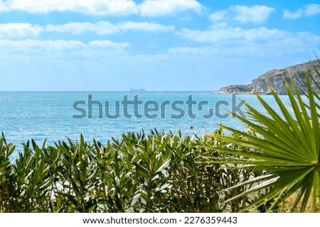 Southern plants and palm trees with a warm turquoise sea and a picturesque cape in a misty haze in the background as a tourist concept